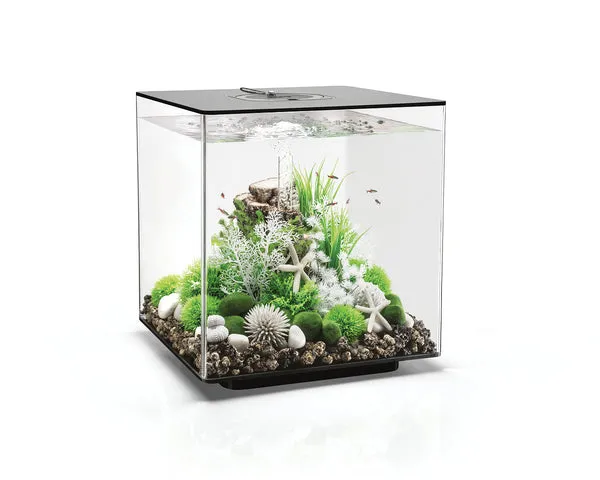 biorb-cube-60-mcr-komplettaquarium-60-liter-mit-led image 1