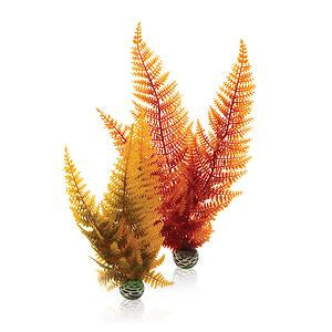 biorb-herbstfarn-set-2-aquarium-pflanzen-2er-set image 1