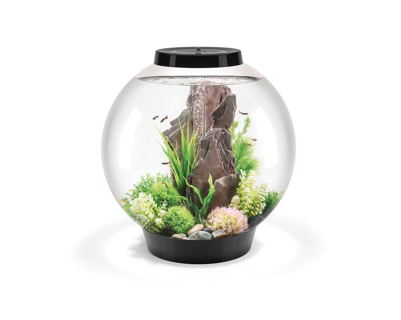 biorb-classic-60-mcr-kugel-aquarium-komplettset-60-liter image 2