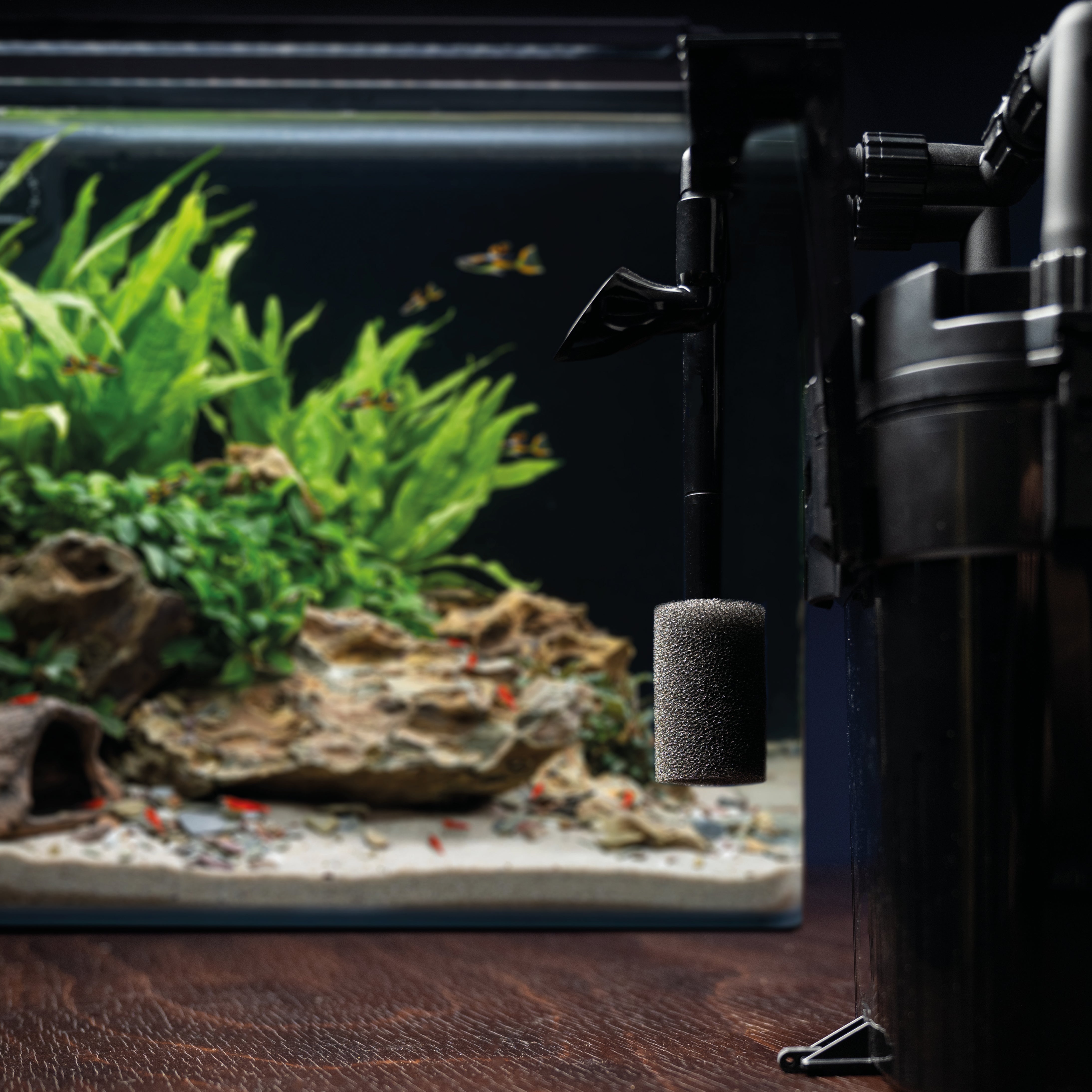 dennerle-scaper-s-flow-rucksackfilter-au-enfilter-f-r-aquascaping-aquarien image 4