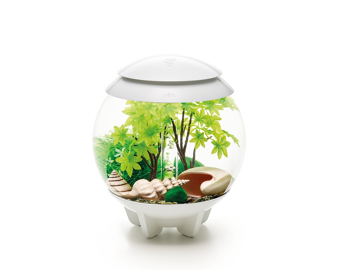 biorb-decor-set-15l-sommer-aquarium-deko-set image 3