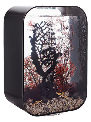 biorb-life-45-mcr-design-komplettaquarium-45-liter-schwarz-wei-transparent image 3