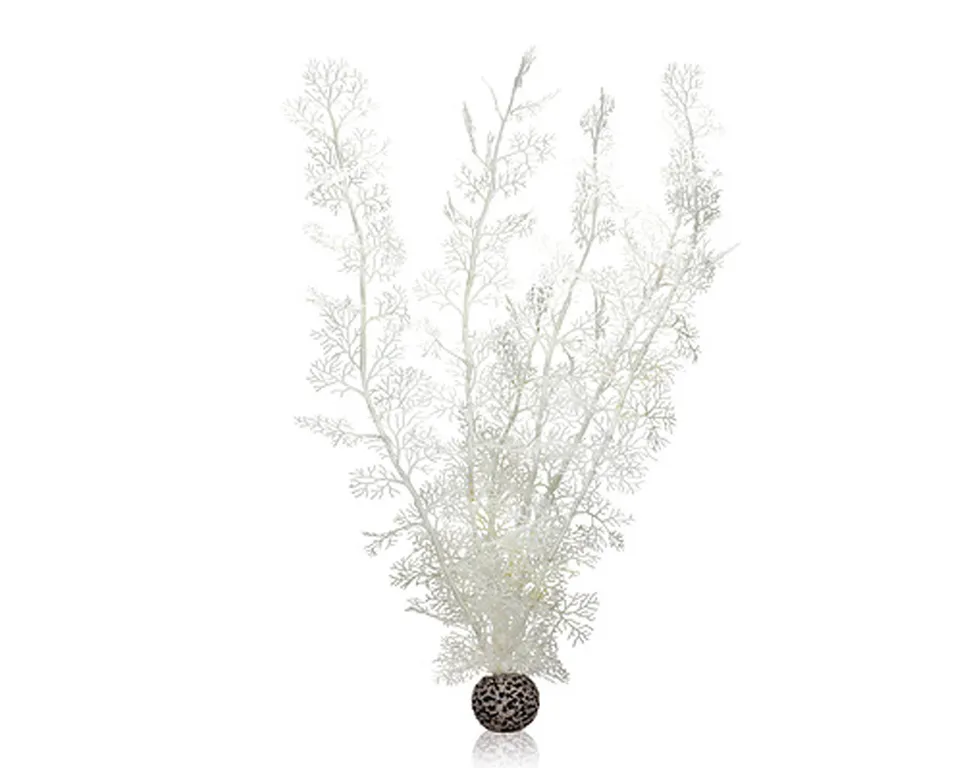 biorb-hornkorallen-xl-wei-deko-pflanze image 1