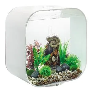 biorb-life-30-mcr-komplettaquarium-30-liter image 1