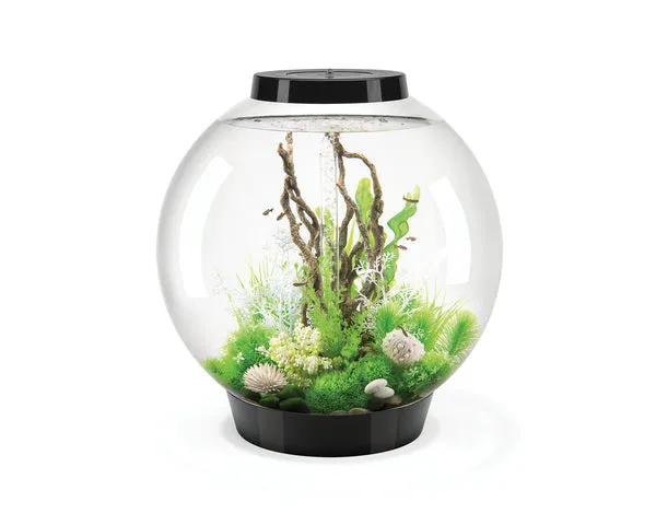 biorb-classic-105-mcr-komplettaquarium-105-liter-kugel-aquarium-schwarz image 1