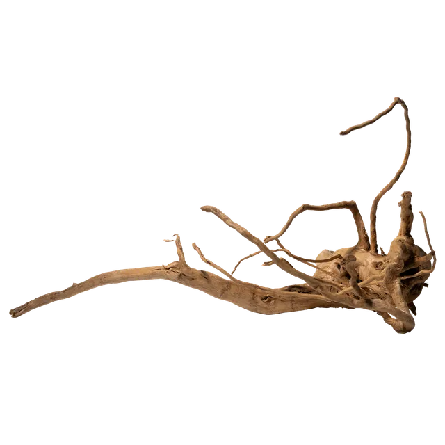 dennerle-spiderwood-wurzelholz-f-r-aquarien-und-terrarien image 1
