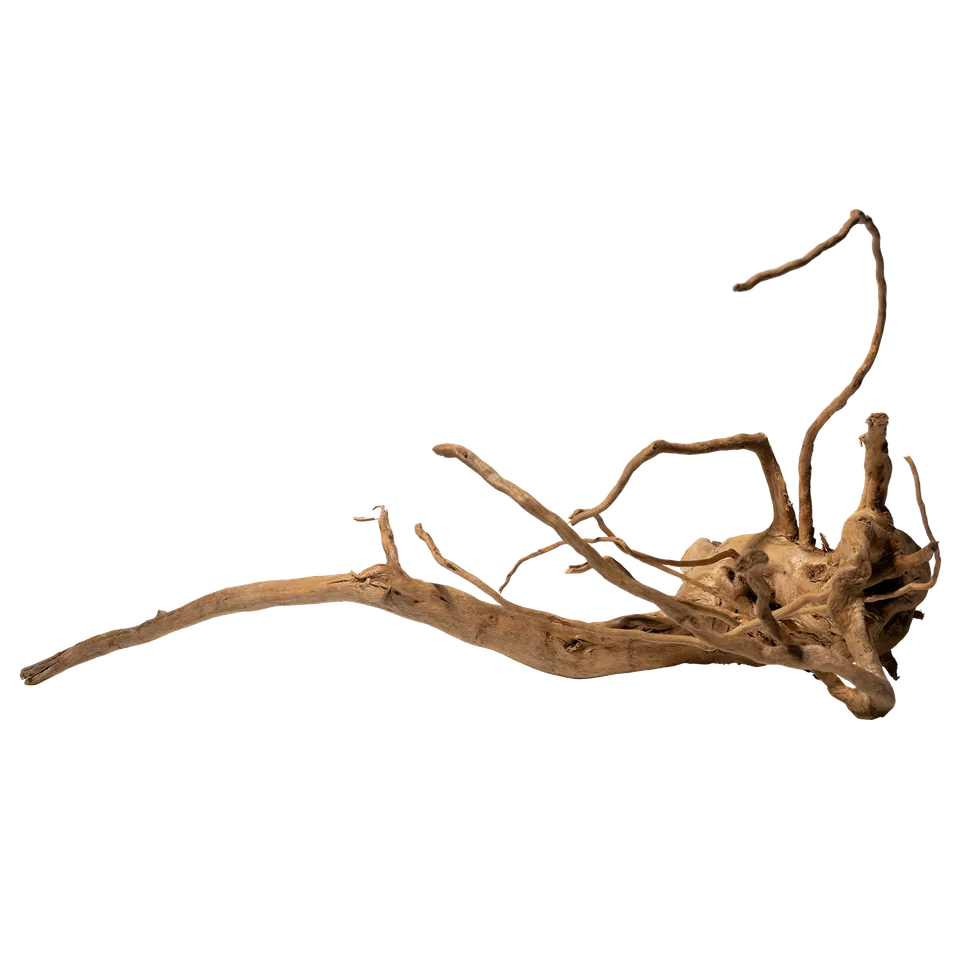 dennerle-spiderwood-wurzelholz-f-r-aquarien-und-terrarien image 1
