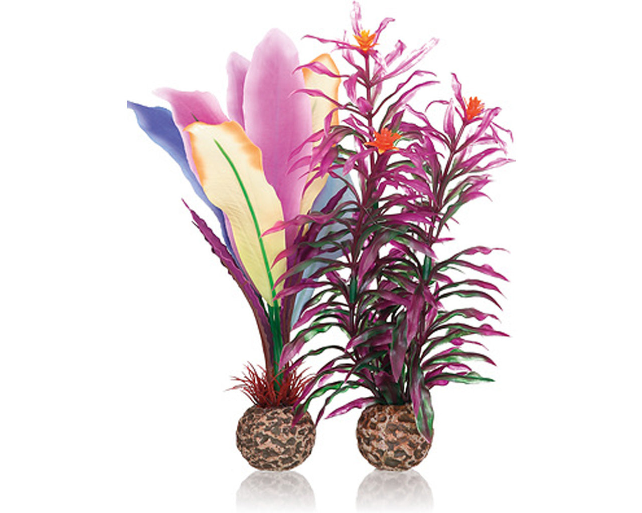 biorb-papageienfeder-m-aquarium-pflanze image 1