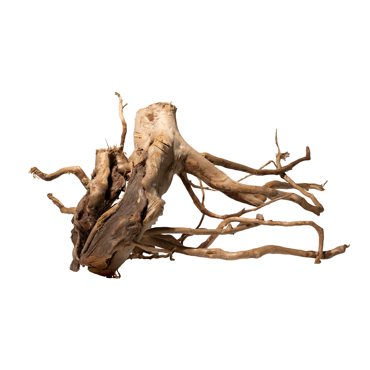 dennerle-spiderwood-wurzelholz-f-r-aquarien-und-terrarien image 2