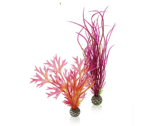 biorb-pflanzen-set-m-rot-pink-2-aquarienpflanzen-f-r-biorb-ab-30-liter image 1