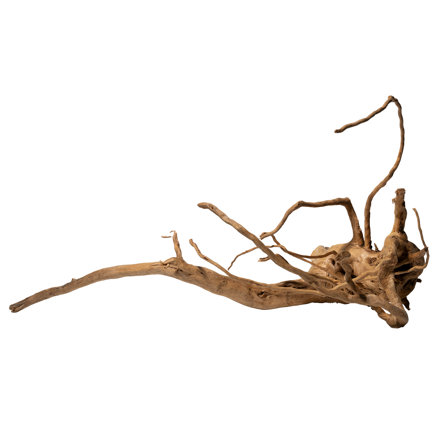 dennerle-spiderwood-wurzelholz-f-r-aquarien-und-terrarien image 1