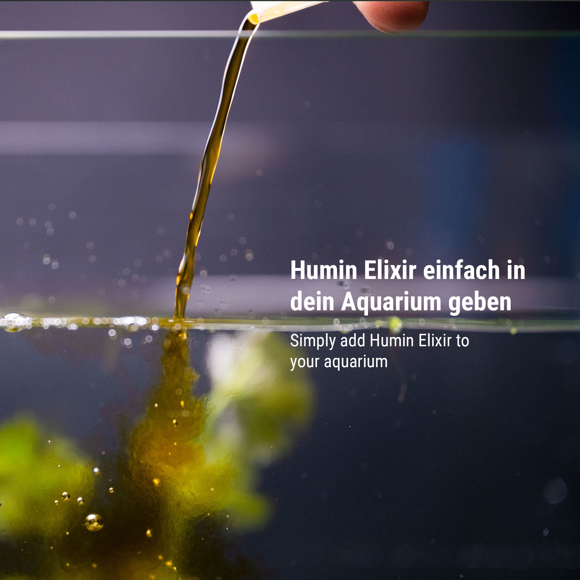 dennerle-humin-elixir-schwarzwasser-pflege-f-r-aquarium image 6