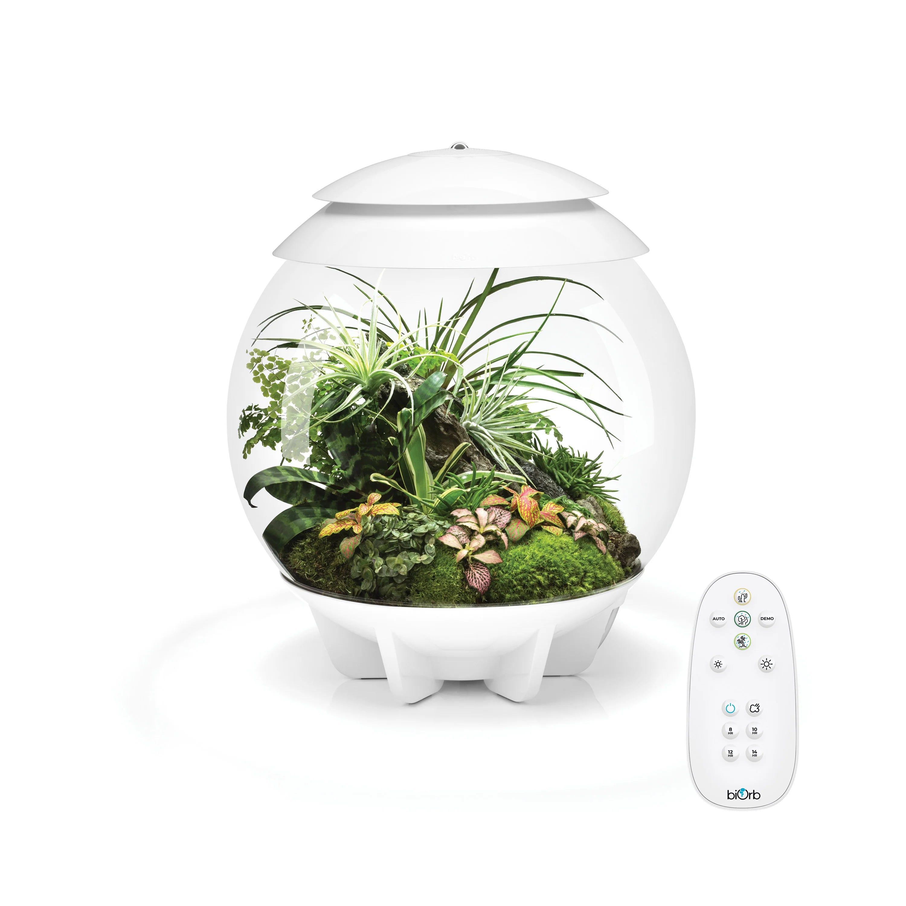 biorb-air-30-automatisiertes-terrarium-30-liter image 1