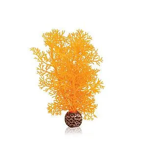 biorb-hornkoralle-s-orange-klein-aquarienpflanze image 1