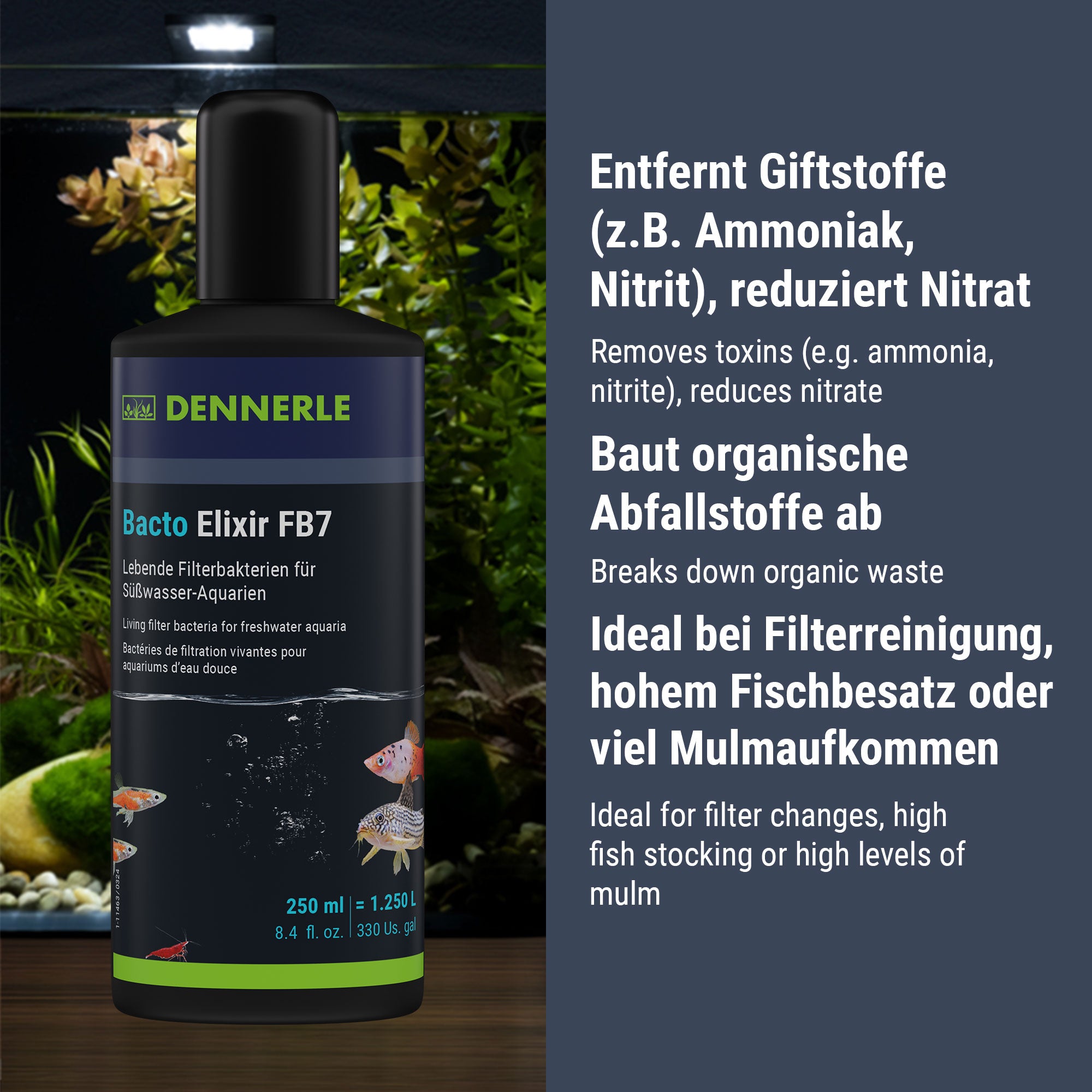 dennerle-bacto-elixir-fb7-wasserpflege-bakterienkultur image 4