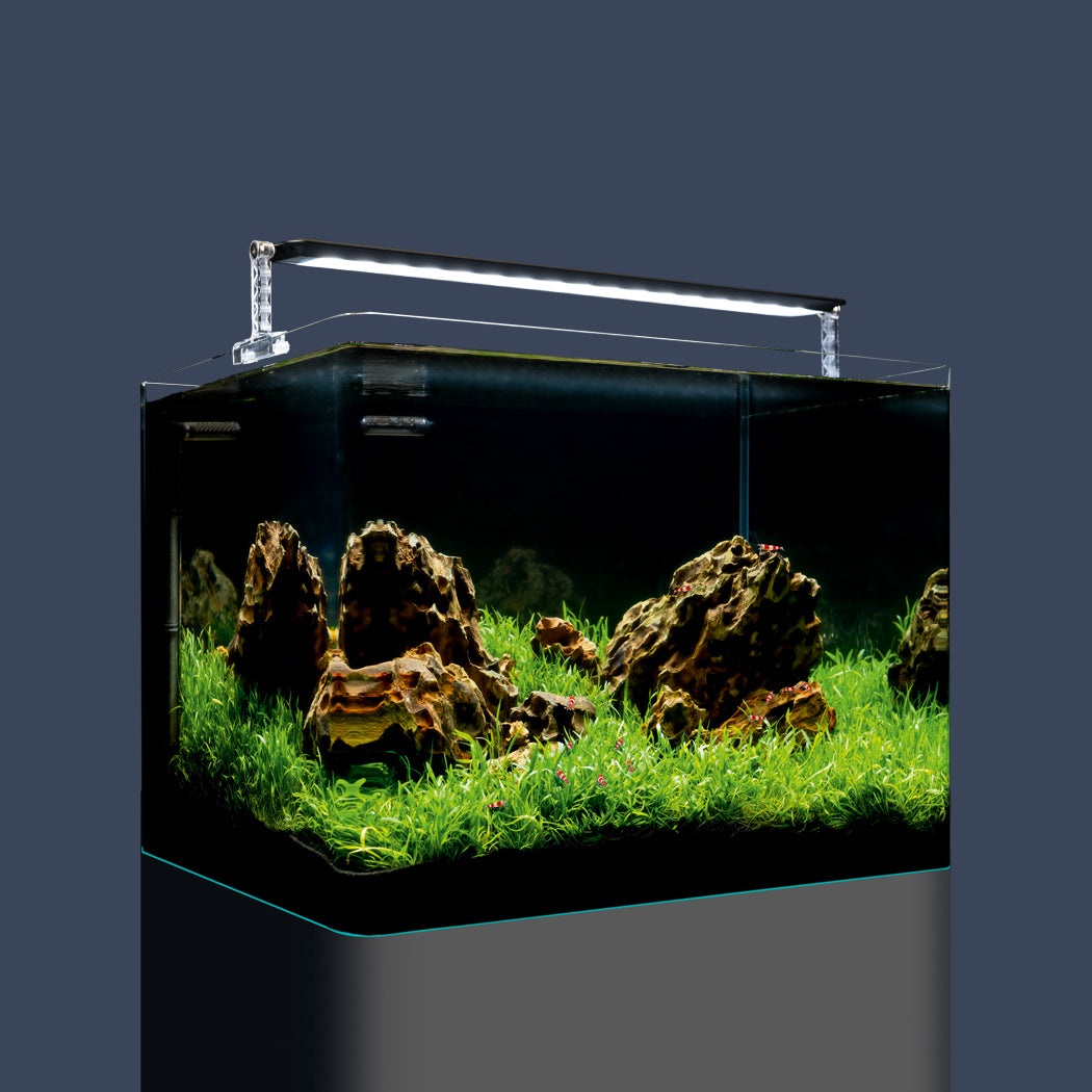 dennerle-nano-tank-plant-pro-komplettaquarium-mit-chihiros-a-ii-led-und-innenfil image 6