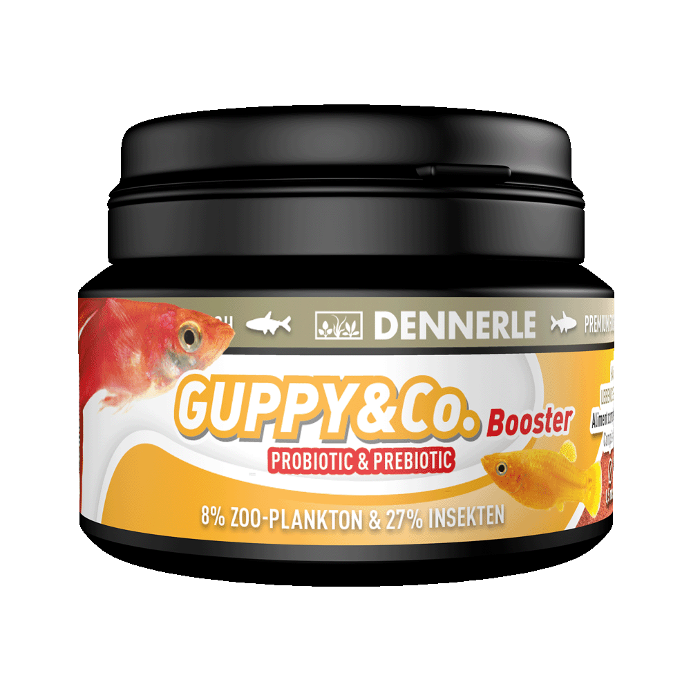 dennerle-guppy-booster-spezialfutter-f-r-guppy-platy-und-molly image 1