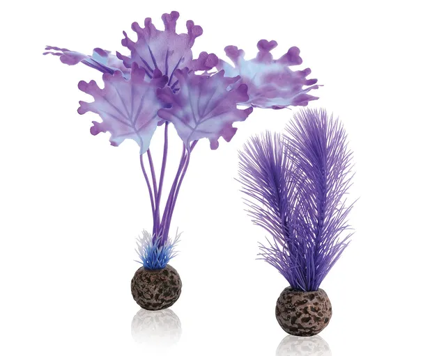 biorb-seetang-set-s-lila-aquarium-pflanzen-set image 1