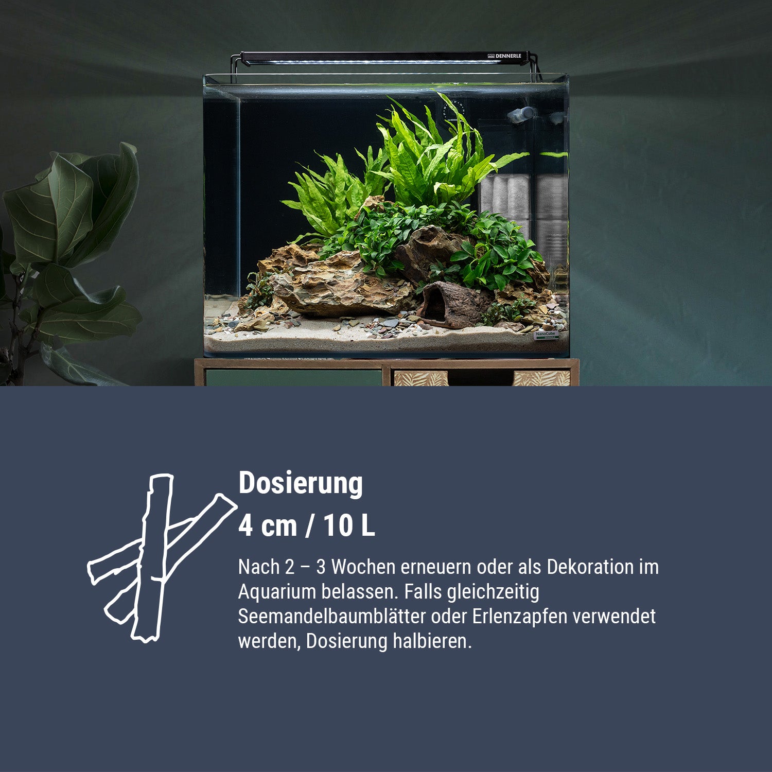 dennerle-nano-catappa-barks-seemandelbaumrinde-f-r-nano-aquarien image 6
