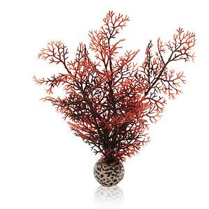biorb-hornkoralle-s-dunkelrot-aquarienpflanze image 1