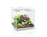 biorb-cube-30-led-design-komplettaquarium-30-l-mit-led-beleuchtung image 8