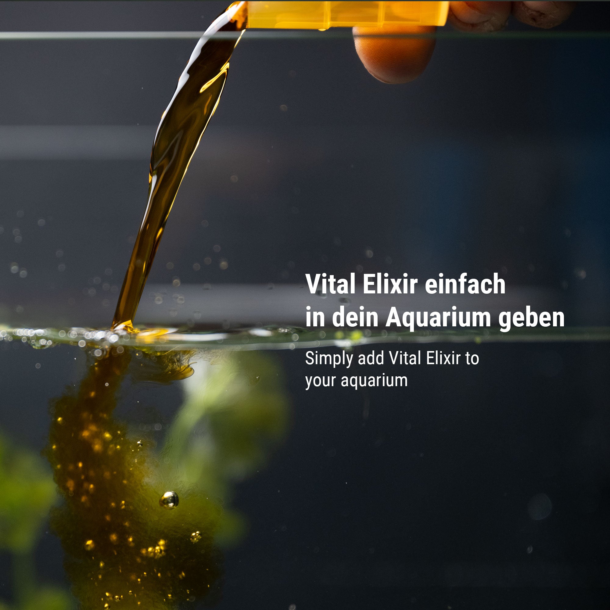 dennerle-vital-elixir-mineral-und-vitaminpflege-f-r-s-wasserfische image 6