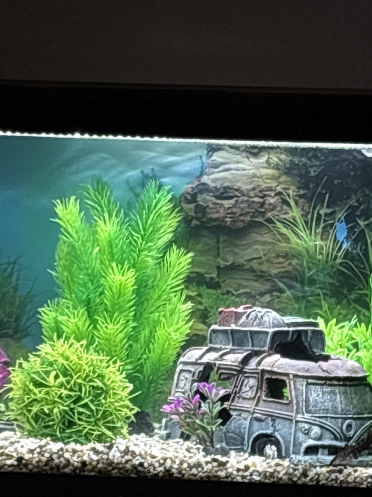 Schöne Rückwand für kleines Becken