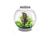 biorb-classic-30-mcr-kugel-komplettaquarium-30-liter image 7