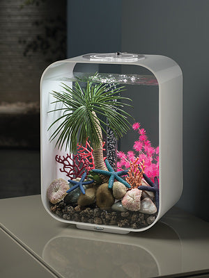 biorb-life-15-led-komplettaquarium-15-liter-transparent-wei-schwarz image 5