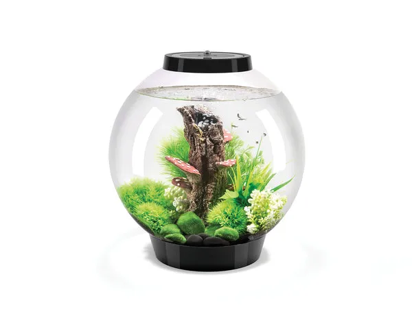 biorb-classic-30-mcr-kugel-komplettaquarium-30-liter image 1