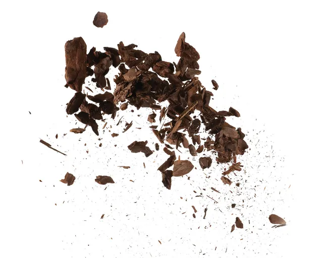 biorb-earth-dschungel-mulch-rindenmulch-bodengrund image 1