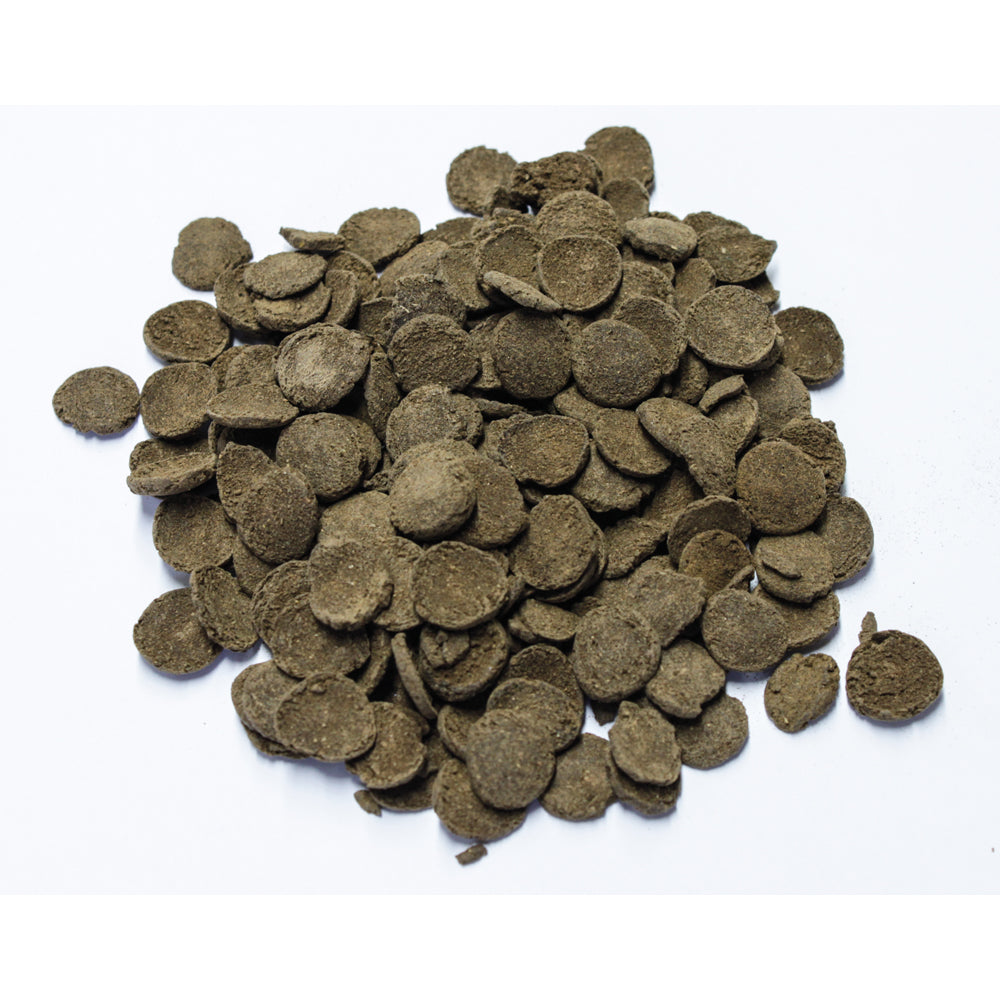 dennerle-pleco-menu-hauptfutter-taler-f-r-harnischwelse-12-mm image 4
