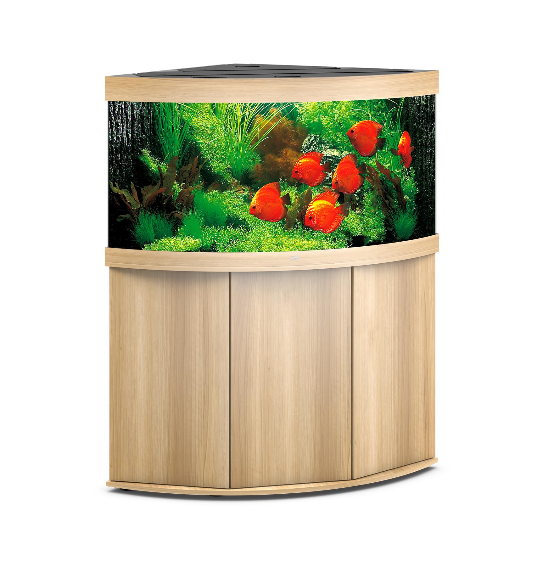 juwel-aquarium-trigon-350-led-komplettaquarium-mit-sbx-unterschrank-helles-holz- image 3