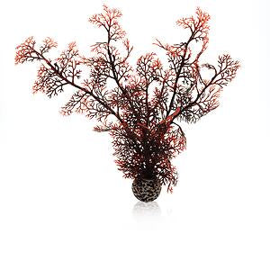 biorb-hornkoralle-m-dunkelrot-aquarium-dekoration image 1