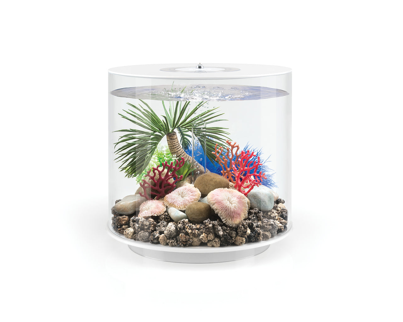 biorb-palme-seychellen-s-aquarium-ornament-deko image 2