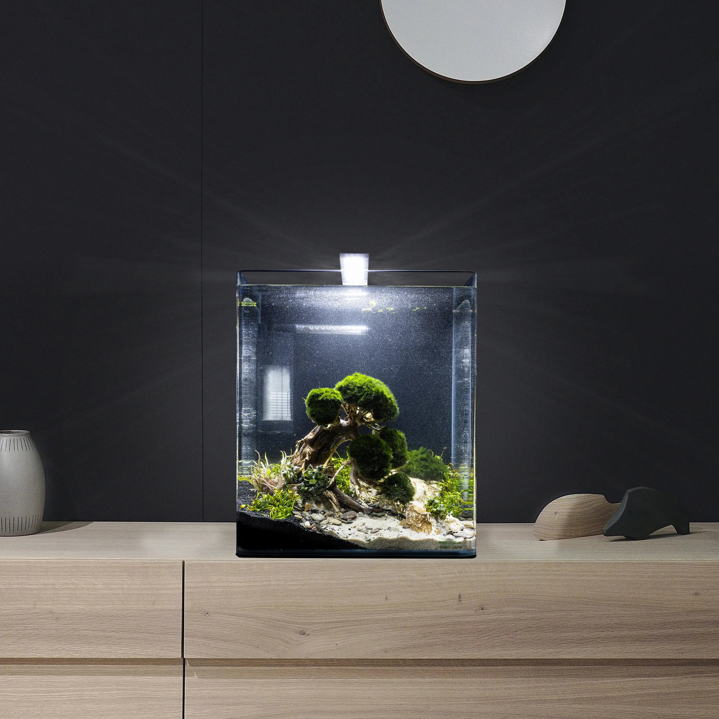dennerle-decor-box-bonsai-aquascaping-deko-set-f-r-s-wasser-aquarien image 6