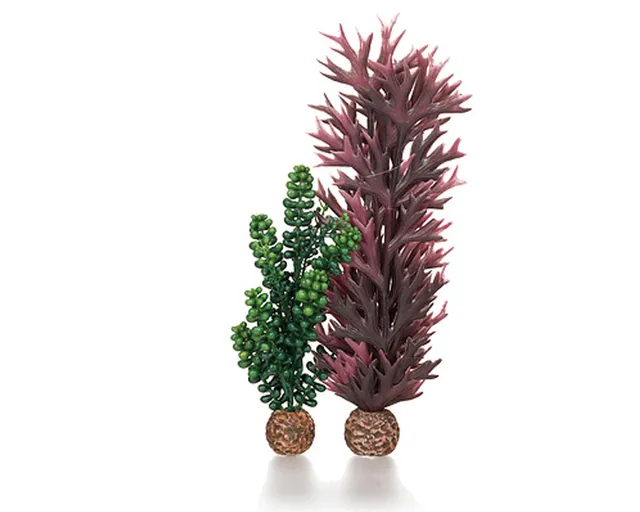 biorb-seeperlen-seetang-olivgr-n-m-aquarium-pflanzen image 1