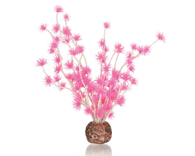biorb-bonsai-ball-pink-aquarium-deko-designer-st-ck image 1