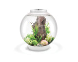 biorb-classic-60-led-kugel-design-komplettaquarium-60-liter image 7