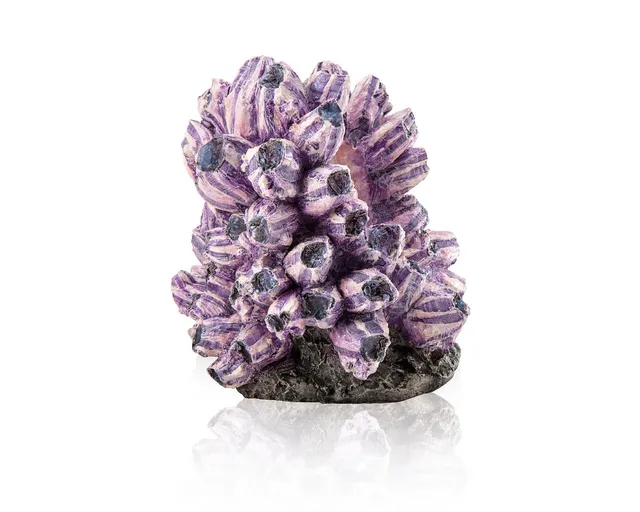 biorb-rankentraube-ornament-aquariendekoration image 1