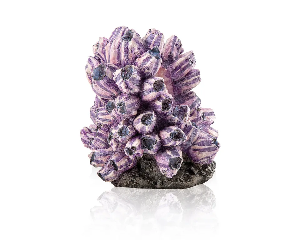 biorb-rankentraube-ornament-aquariendekoration image 1