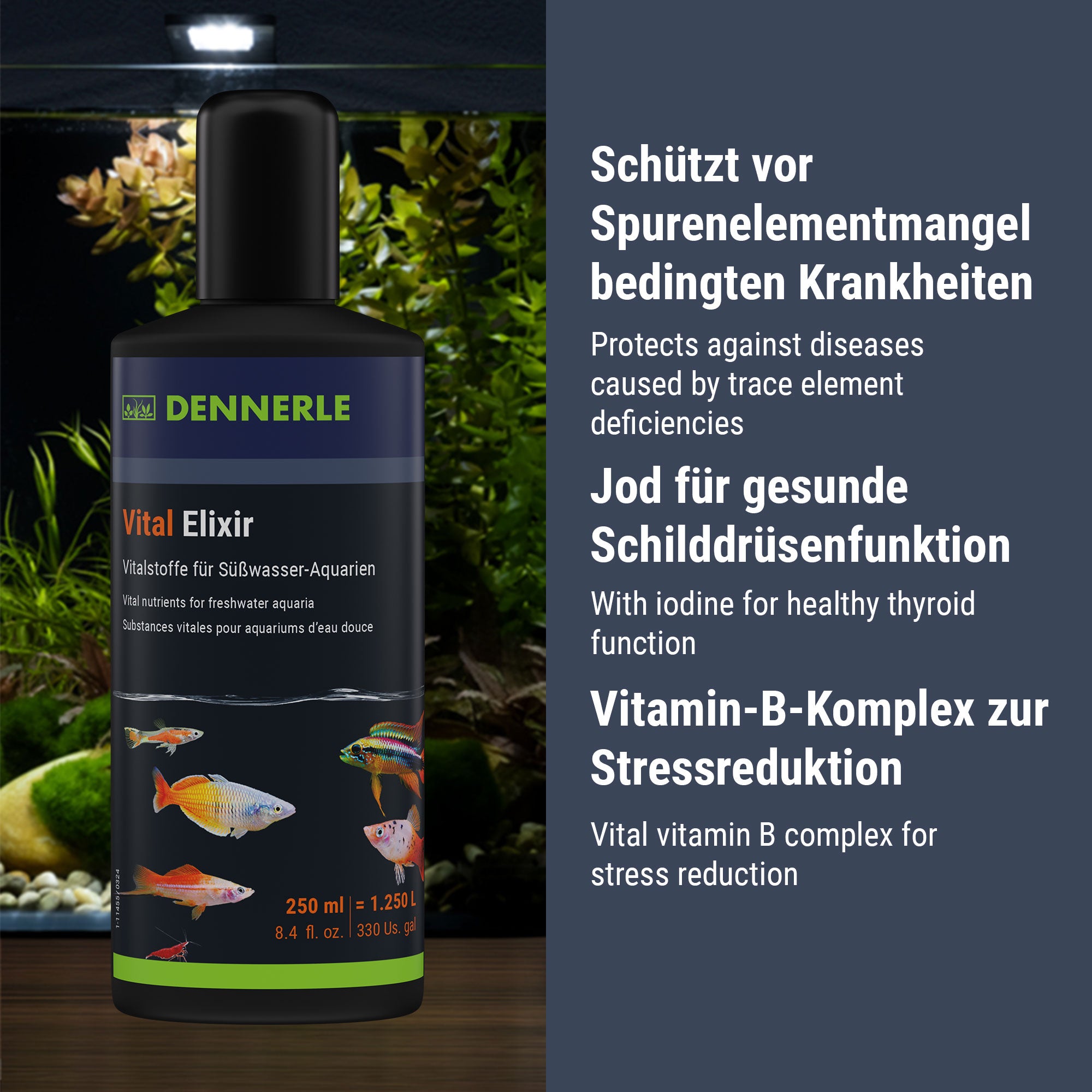 dennerle-vital-elixir-mineral-und-vitaminpflege-f-r-s-wasserfische image 4