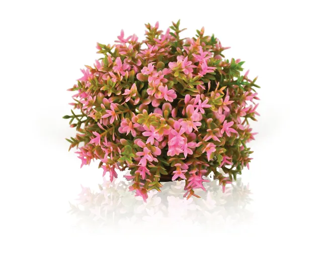 biorb-blumenball-pink-aquarium-deko-pflanzenball image 1