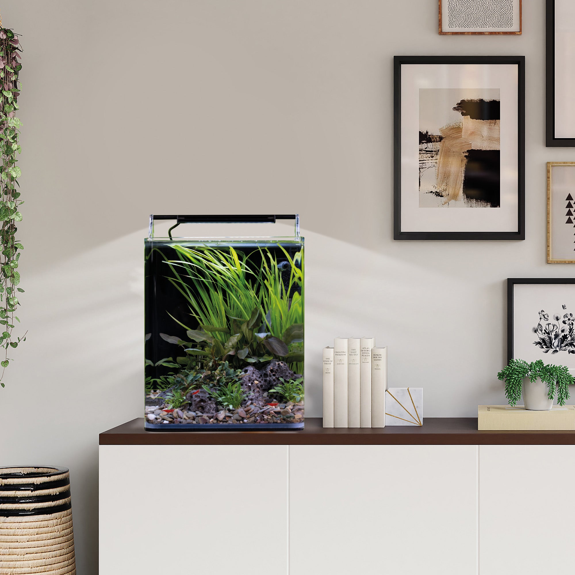 dennerle-nano-cube-basic-panorama-mini-aquarium-komplettset-mit-led-und-filter image 6