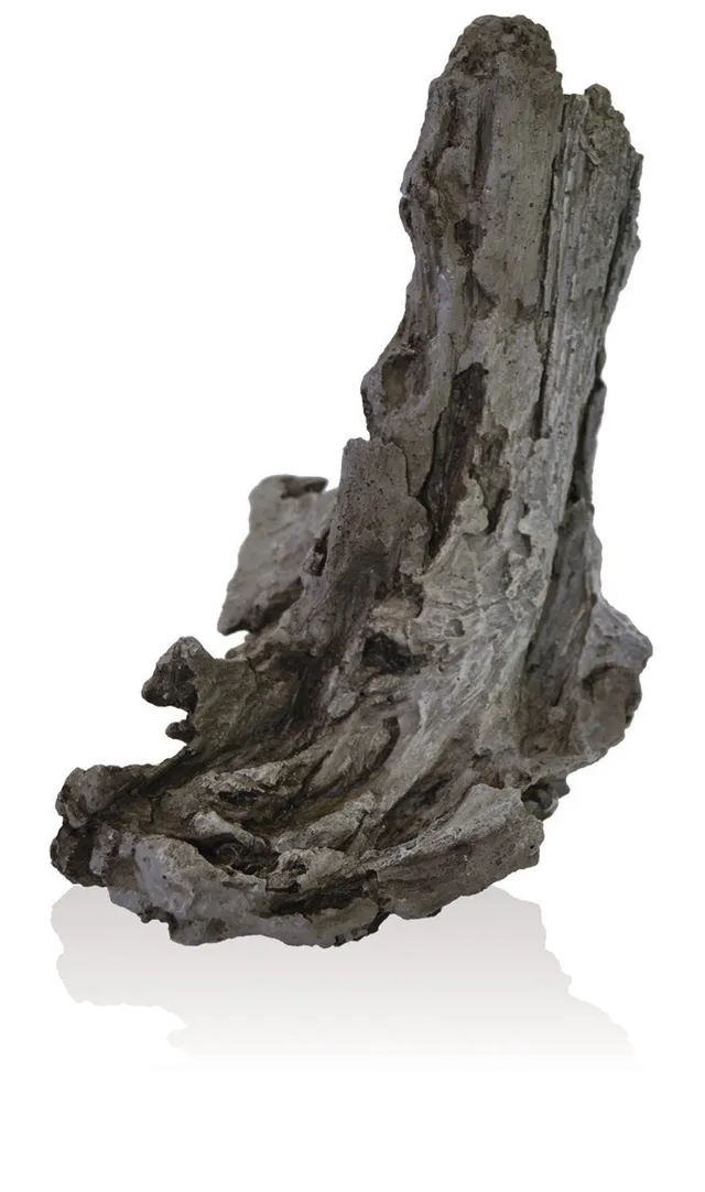 biorb-air-steinwurzel-ornament-spire-terrarium-deko image 1
