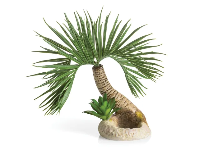 biorb-palme-seychellen-s-aquarium-ornament-deko image 1