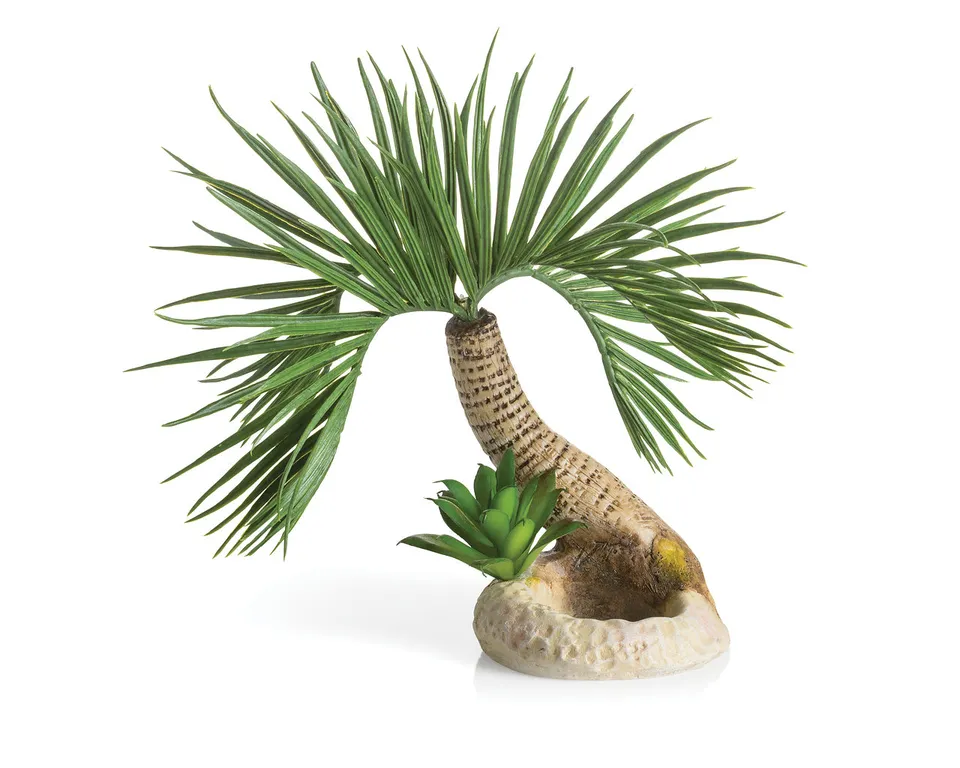biorb-palme-seychellen-s-aquarium-ornament-deko image 1