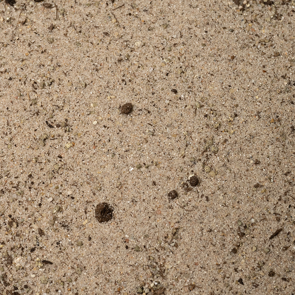 dennerle-nutribasis-6in1-n-hrboden-bodengrund-f-r-aquarienpflanzen image 1
