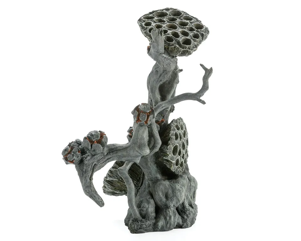 biorb-lotus-wurzel-l-terrarium-wurzel-f-r-biorb-earth image 1