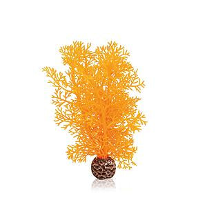 biorb-hornkoralle-s-orange-klein-aquarienpflanze image 1